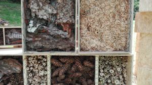 Insektenhotel LAG Spessart (9).jpg