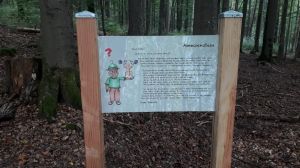 Schollbrunn Lehrpfad und Wandermäuseburg (9).jpg