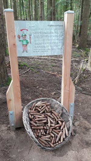 Schollbrunn Lehrpfad und Wandermäuseburg (7).jpg