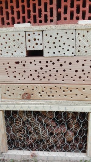 Insektenhotel LAG Spessart (10).jpg