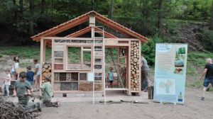 Insektenhotel LAG Spessart (21).jpg