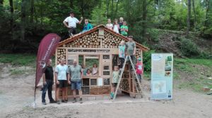 Insektenhotel LAG Spessart (29).jpg