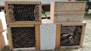 Insektenhotel LAG Spessart (12).jpg
