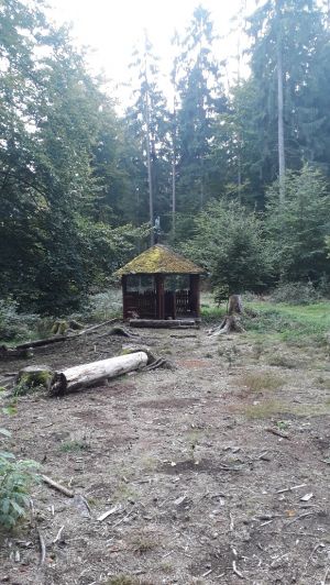 Schollbrunn Lehrpfad und Wandermäuseburg (15).jpg