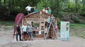 Insektenhotel LAG Spessart (28).jpg