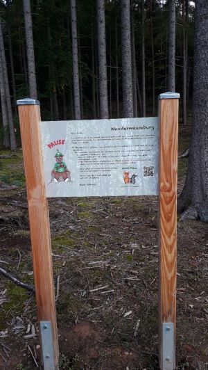 Schollbrunn Lehrpfad und Wandermäuseburg (12).jpg